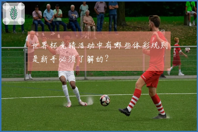 世界杯竞猜活动中有哪些体彩规则是新手必须了解的？