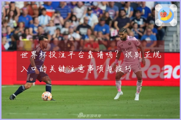 世界杯投注平台靠谱吗？识别正规入口的关键注意事项与技巧